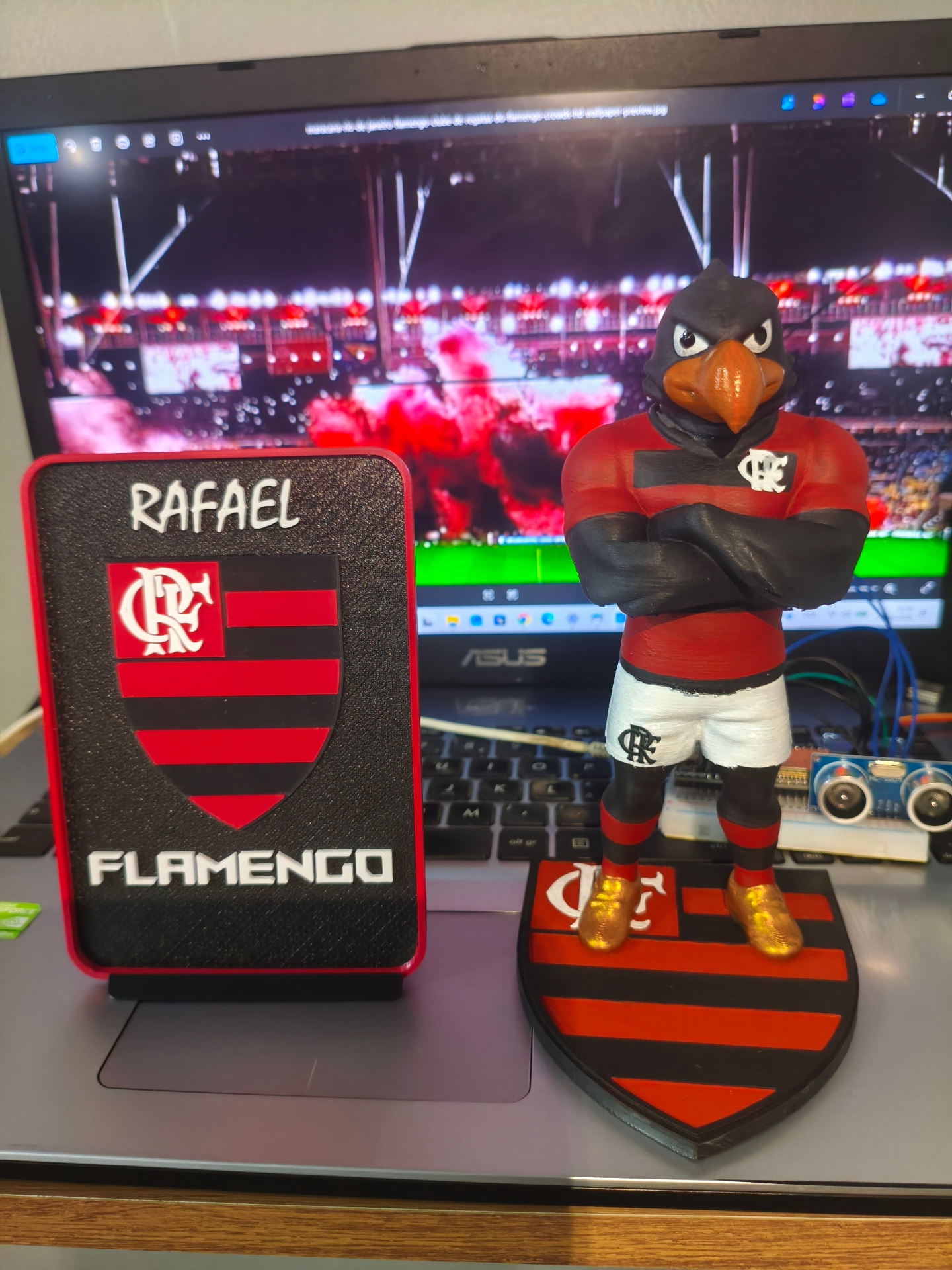 Urubu Rubro-Negro — Flamengo — Mascote Rubro-Negro + placa personalizada com nome